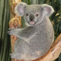 skippedtrack (@ashamereally) 's Twitter Profile Photo