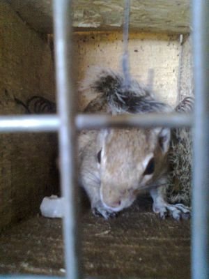 DenidTirkey's profile picture. Wisdom and super natural power s