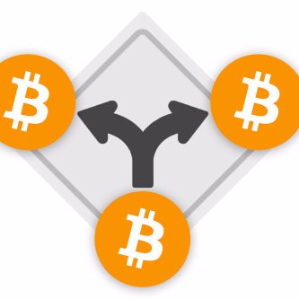 bitcoinforks's profile picture. https://t.co/ZJ4RyPt7P7