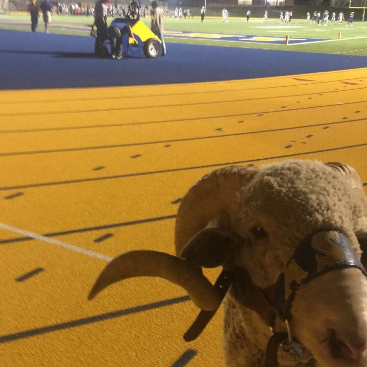 Dominic_IX's profile picture. I am Dominic IX