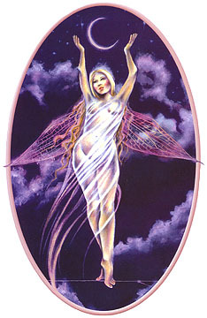 moonchild776's profile picture. 