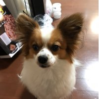 もんじ@ (@monji_1978) 's Twitter Profile