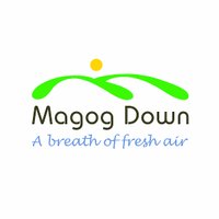 @MagogDown(@MagogDown) 's Twitter Profile Photo
