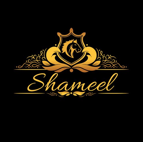 shameelofficial Profile Picture