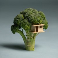 broccoli treehouse (@itsbrccolibitch) Twitter profile photo