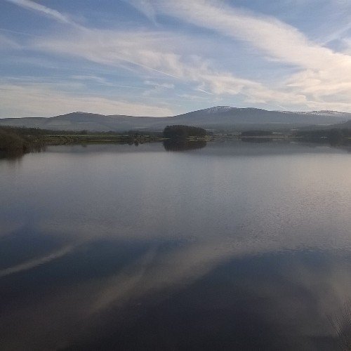 Programme Manager in OCIO, HSE working on eHealth solutions for Cancer Care @hsevalues @ehealthireland. Views are my own.