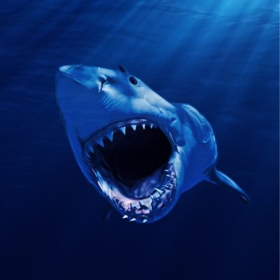 Evanrhoades_19's profile picture. Football