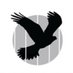 Kestrel Theatre Company (@kestreltheatre) Twitter profile photo Kestrel Theatre Company (@kestreltheatre) Twitter profile photo