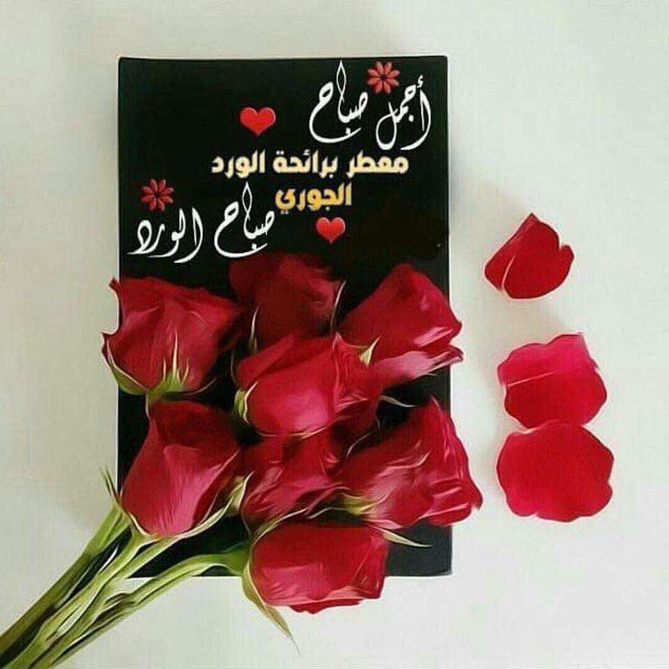 aabdalla1989's profile picture. ‏‏‏‏اللهم اني اسألك العفووالعافيةفي الدنياولاخرة اللهم اني اسالك ذريةصالحةوان تجمعني بمن 
احب عاجلآغيراجلآ ياالله ياسميع ياعليم يابصير ياحي ياقيوم فرج همي