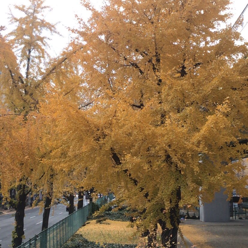 erdianatabuchi2's profile picture. 🌹🌹🌹🌹🌹🌹