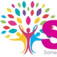 Somerset Association of Primary Headteachers (@saphto) 's Twitter Profile