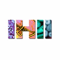 Institute for Human Infections & Immunity (IHII)(@ihii_utmb) 's Twitter Profileg