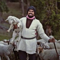 Anand Sankar (@kalapian_) 's Twitter Profile