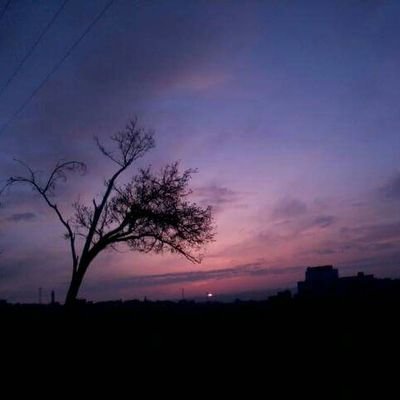 WaedAlsawarieh's profile picture. وَاصْبِرْ لِحُكْمِ رَبِّكَ فَإِنَّكَ بِأَعْيُنِنَا