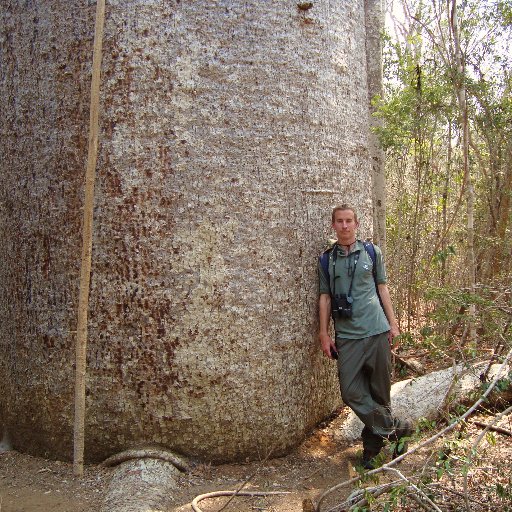 Woodland, tree and wildlife enthusiast. Work on policy at Woodland Trust. All views my own. Retweets do not equal endorsements