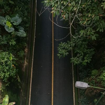 KishitenT's profile picture. 