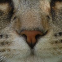 dtb200 aka Andy Liggins (@dtb200) 's Twitter Profile