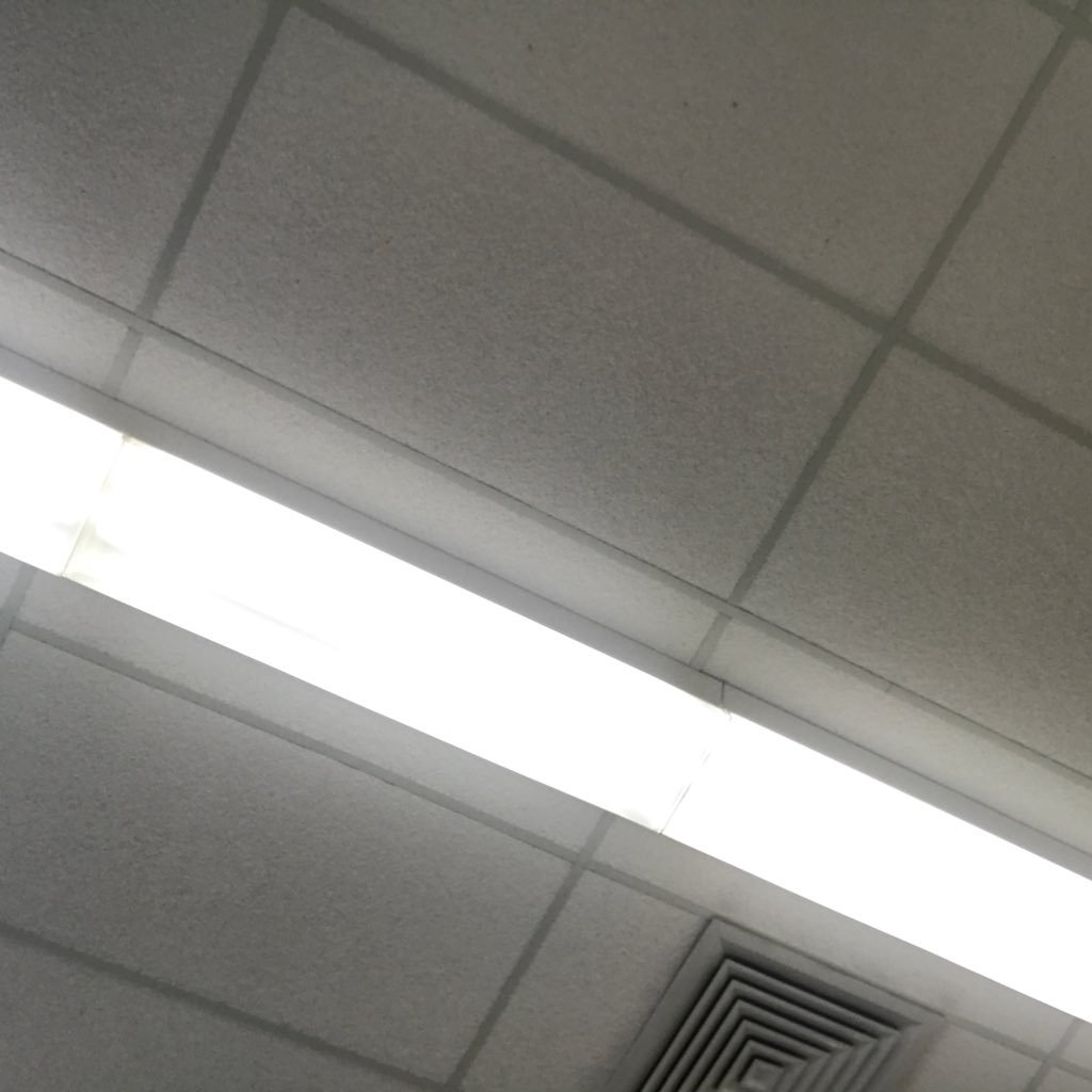 VianoAnna's profile picture. 