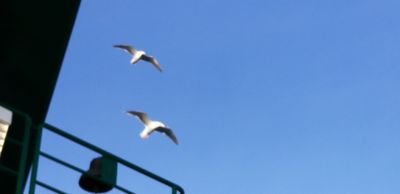 ReadyBless's profile picture. 