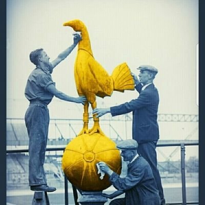C O T Tinospur Twitter