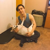 Slyceoflyfe (@trueslyceoflyfe) 's Twitter Profile