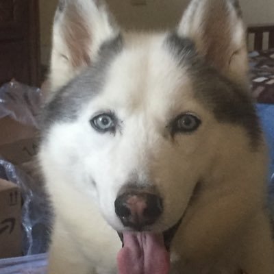 controllab1762's profile picture. Retired Critical Care RN, love my girls, my grandsons and animals. 💞