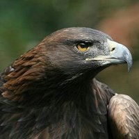 Leander (@murdered12) 's Twitter Profile