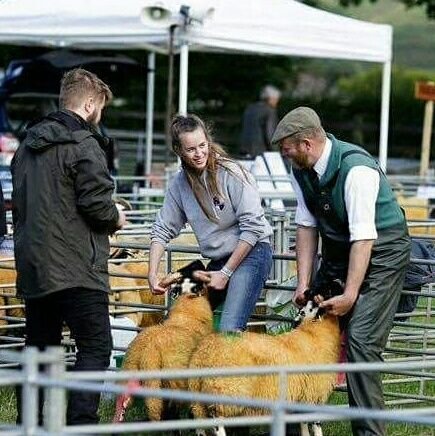 the_iron_waugh's profile picture. Scot lost in Wales| British Farming | Dairy Fairy | Lady Lamber |