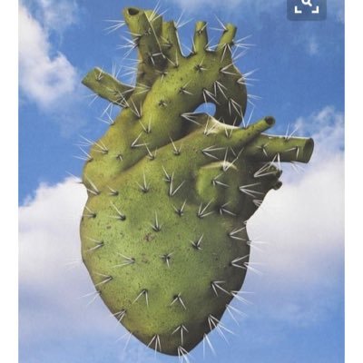 janoskianatorah's profile picture. 