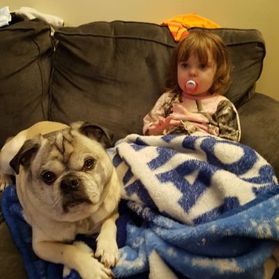 I am a single mother to a beautiful daughter, Isabella who I love very much. I also have 3 amazing pups 2 of them being rescue dogs!
P!nk is my idol!!
