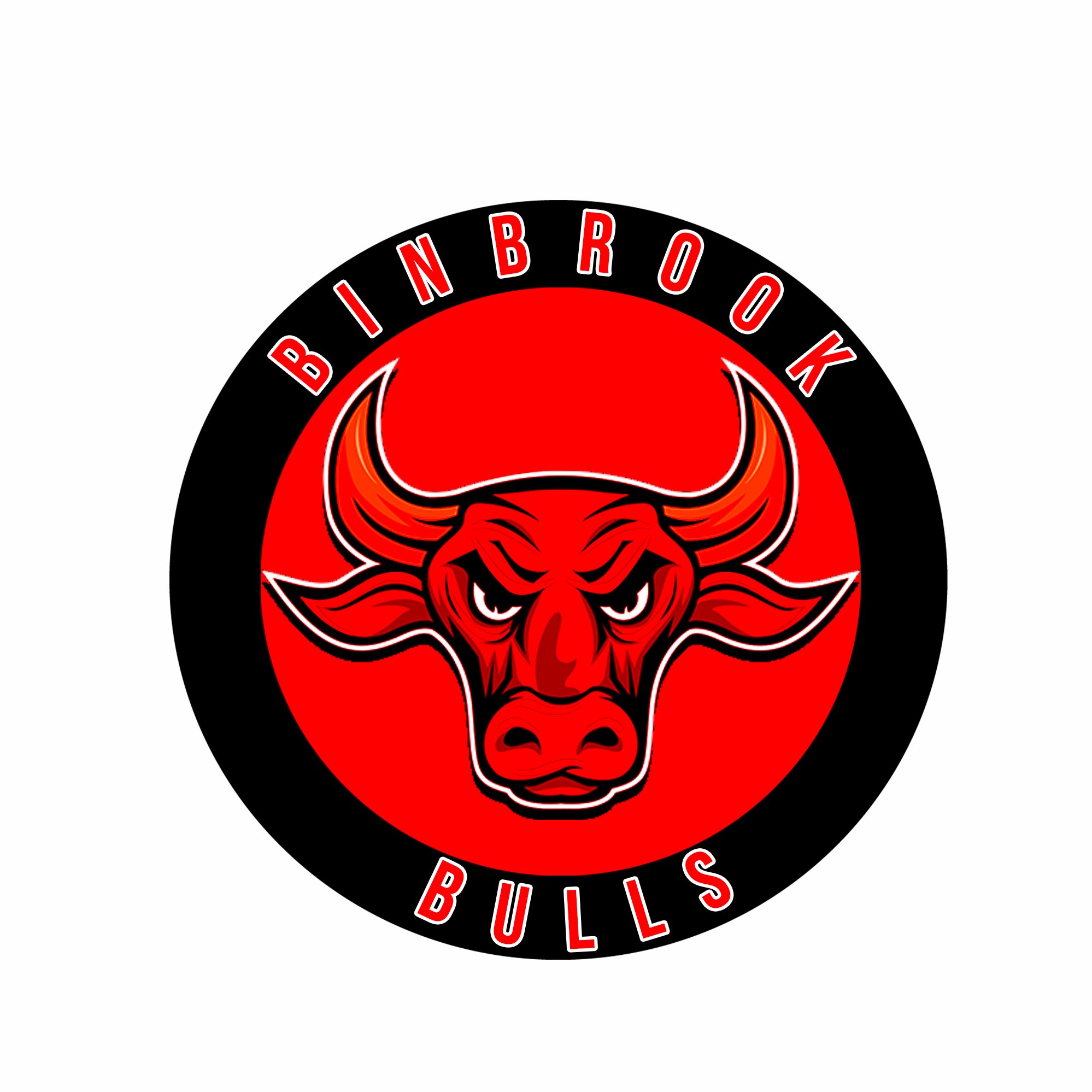 Binbrook Basketball Club is a non profit organization, providing youth basketball programs and education to the binbrook community and surrounding area