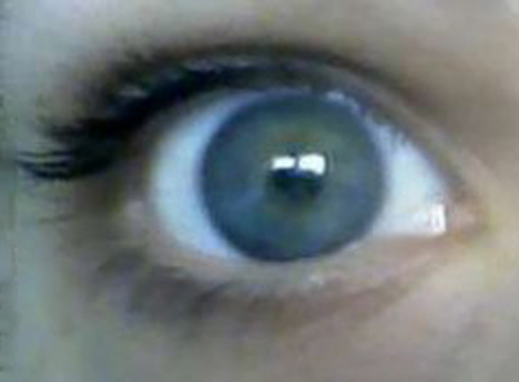 turnip_muncher's profile picture. I tweet (rarely), therefore I am.