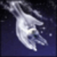 Angela Kopecky (@orinkawasui) 's Twitter Profile