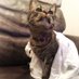 Kitties Against Single Use Plastic (@ban_the_bag_pa) Twitter profile photo Kitties Against Single Use Plastic (@ban_the_bag_pa) Twitter profile photo