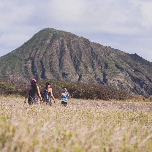 OsculumInvest's profile picture. 