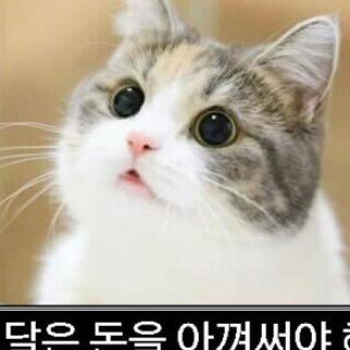 kkyu__kkya's profile picture. 예쁜 그림 항상 감사해오♡ 구독하게해주세오ㅠㅠ