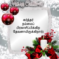 Bible Verses Tamil and English (@rchandr90183611) 's Twitter Profile