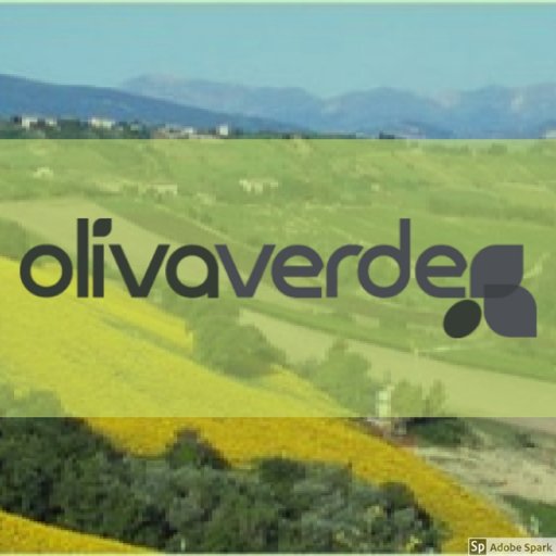 We promote fine organic and biodynamic olive oils from lesser known regions of Italy. We have dedicated olive oil tours and schools in Italy, Sicily and Malta.