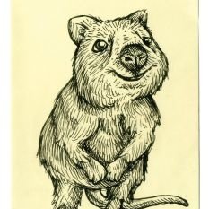 RecoveryQuokka's profile picture. the old saying once an addict, always an addict, will NO LONGER be tolerated!! Recovery can & does happen!! #A01