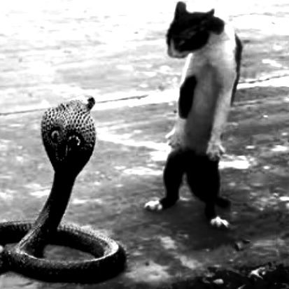 Kyo68056085's profile picture. 