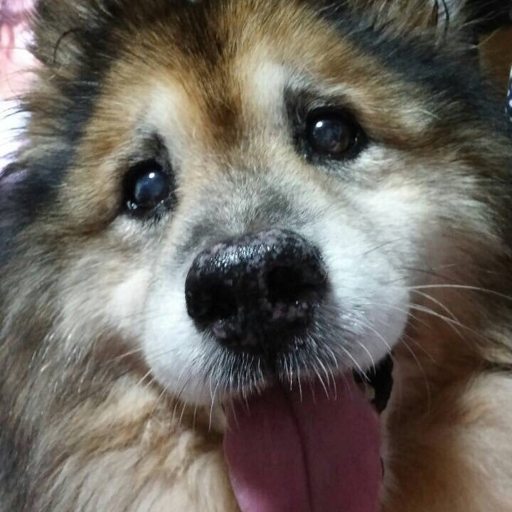 馬津田∞さんのプロフィール画像