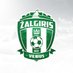FK Žalgiris Vilnius (@fkzalgiris) Twitter profile photo