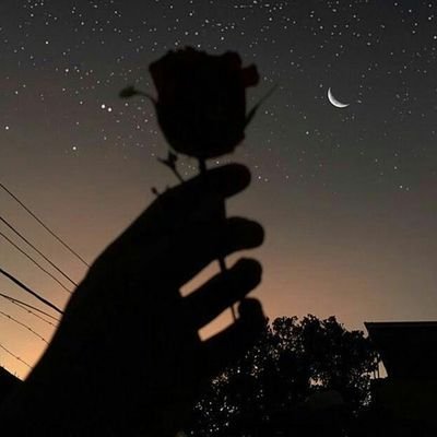 faris00966's profile picture. 