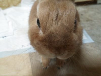 manabunice's profile picture. 