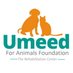 Umeed For Animals (@umeedforanimals) Twitter profile photo Umeed For Animals (@umeedforanimals) Twitter profile photo