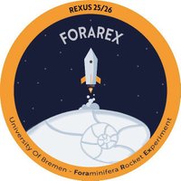 FORAREX (@forarex) 's Twitter Profile