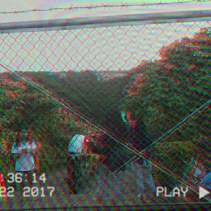 powerforward101's profile picture. nigger