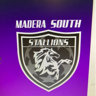 stallionBsoccer Profile Picture