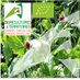 Agriculture Biologique BFC (@biobfc) Twitter profile photo Agriculture Biologique BFC (@biobfc) Twitter profile photo