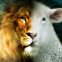 Cleber Miranda (@cleber0977) 's Twitter Profile